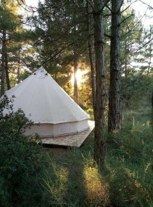 Forest Days Navés 外观 照片