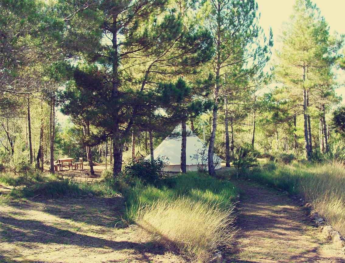 Forest Days Navés 外观 照片